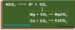 Carbonate Binding