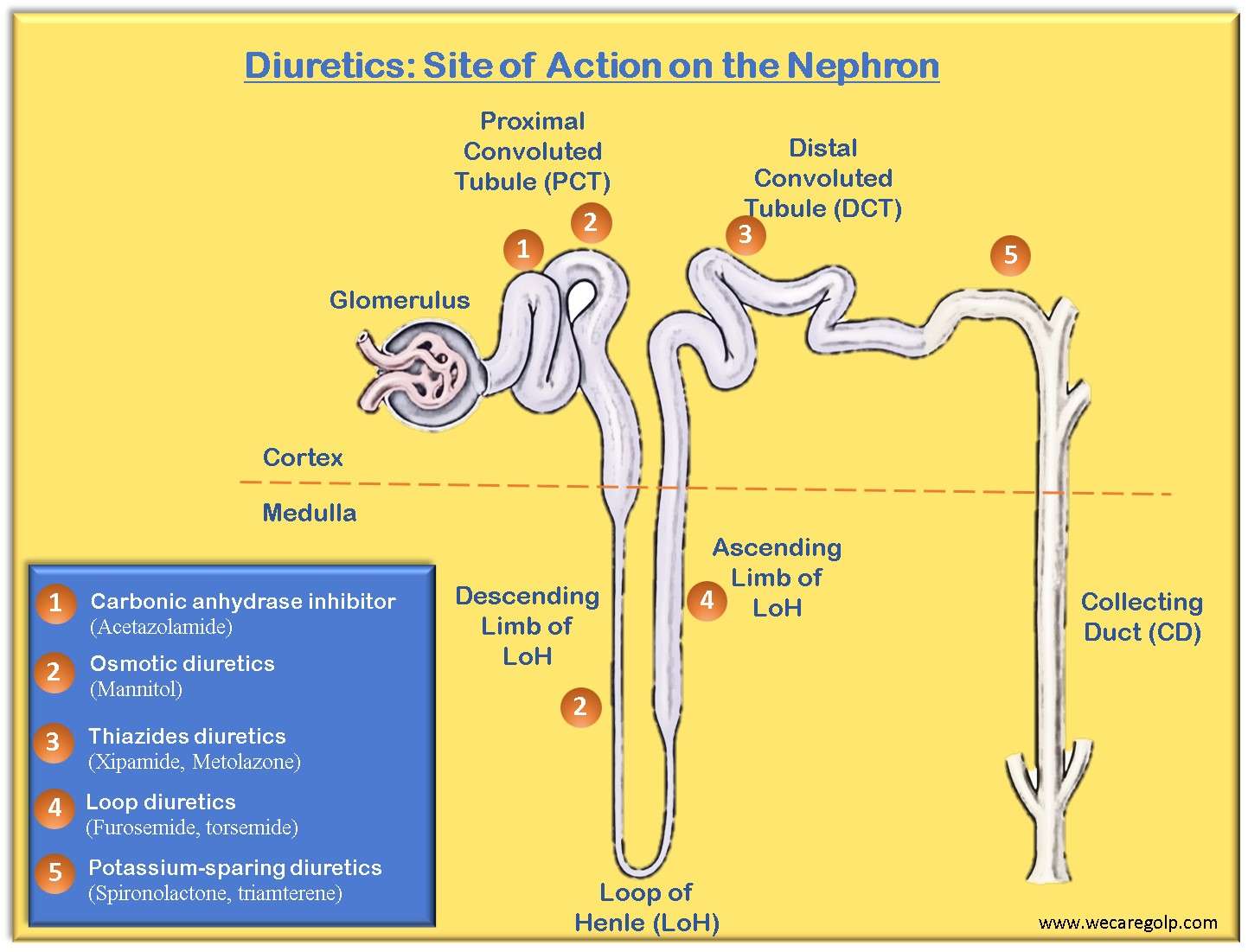 Diuretics - We Care