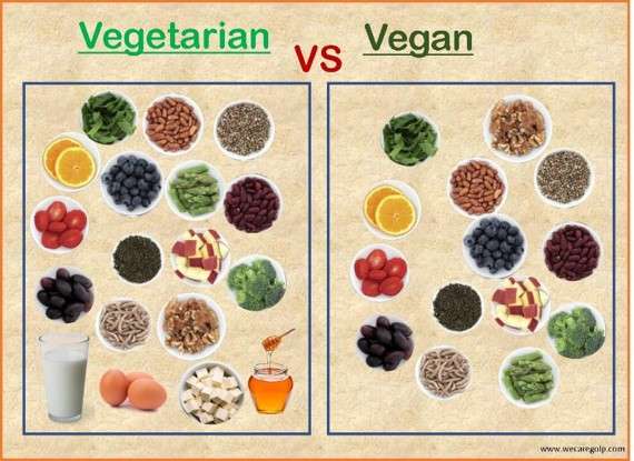 Vegetarian vs Vegan