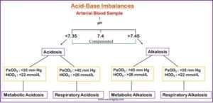 Curated visual reference: Feline Leukemia Virus Shedding Risk In Cats With Acid Base Reference: Acid Base Imbalance