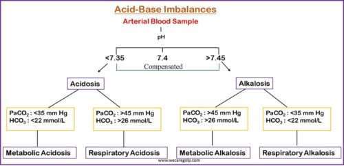 Acid Base Imbalances