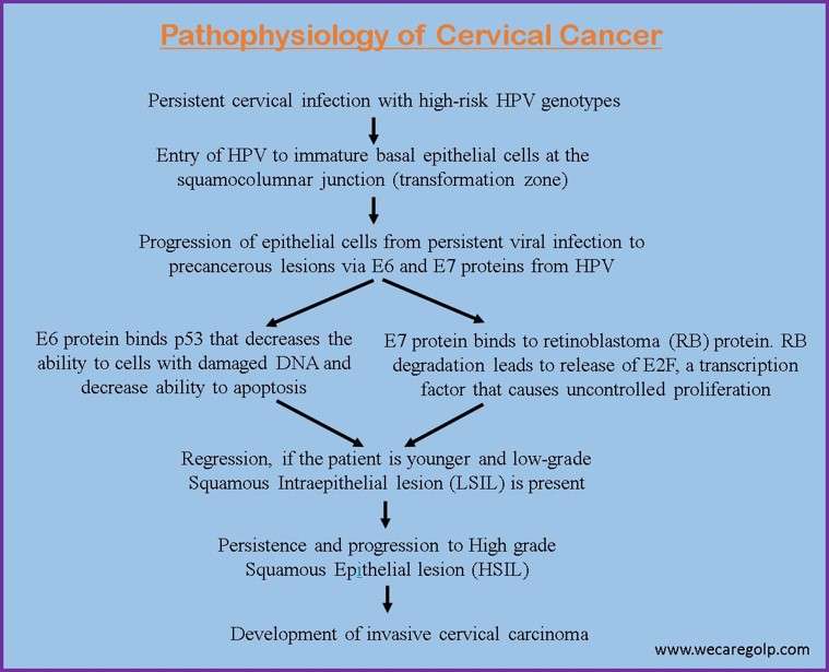 Pathophysiology of Cervical Cancer