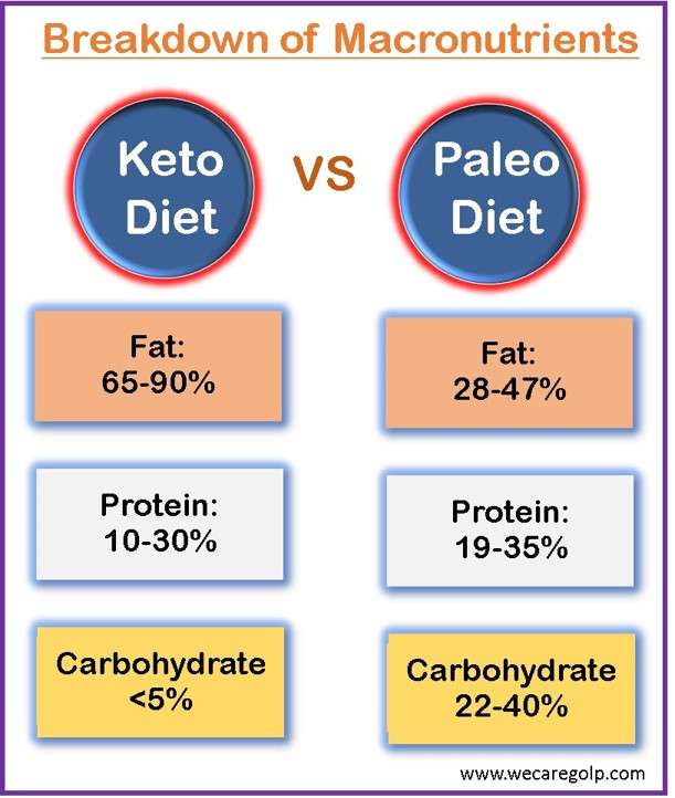 Keto vs Paleo Diet: Breakdown of Macronutrients