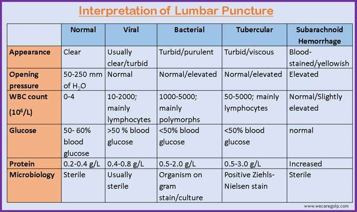 Interpretation of Lumbar Puncture