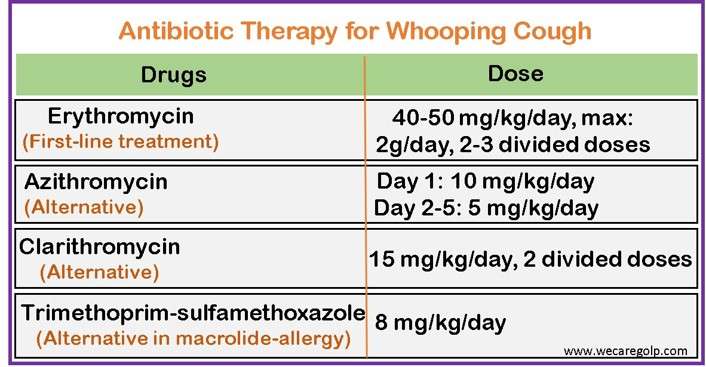 Antibiotic Therapy for Whooping Cough