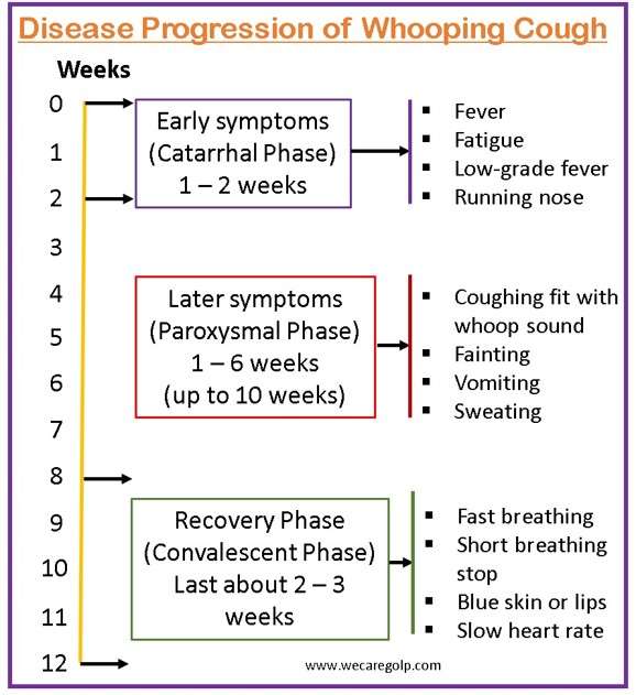Disease Progression of Whooping Cough