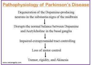 Parkinson's Disease: Stages, Symptoms, Management - We Care