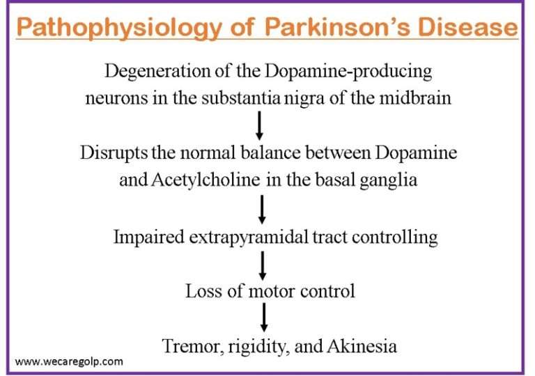 Parkinson's Disease: Stages, Symptoms, Management - We Care