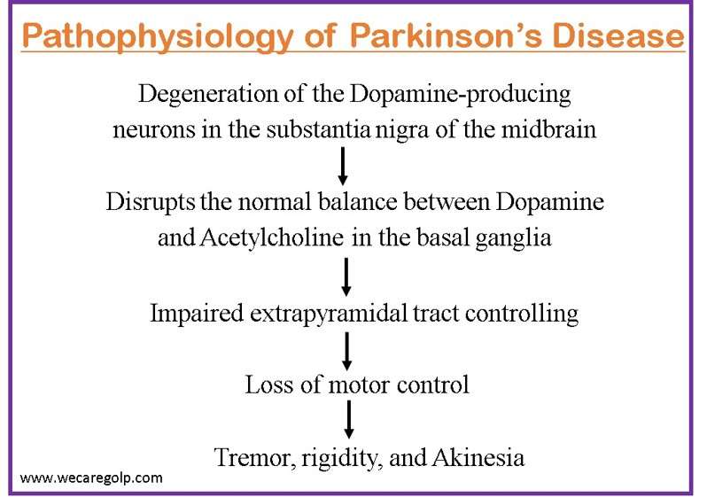 Pathophysiology of Parkinson’s Disease
