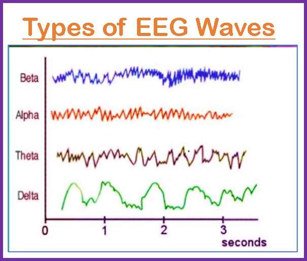 EEG Waves