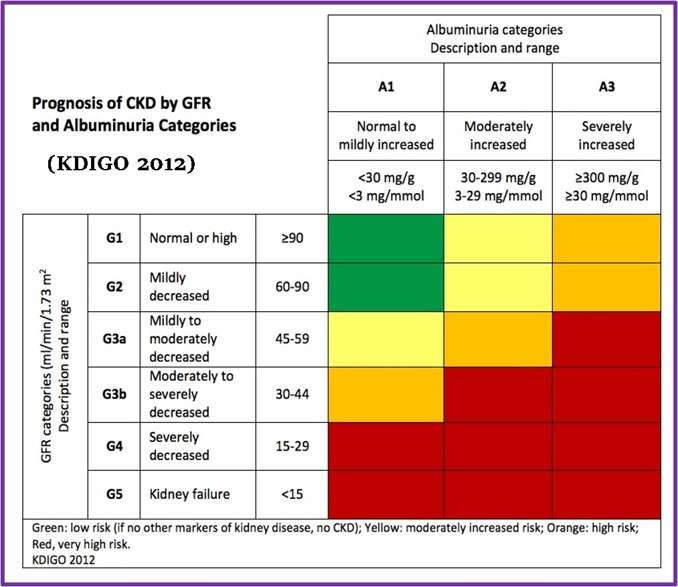 KDIGO Categories of Chronic Kidney Disease (CKD)