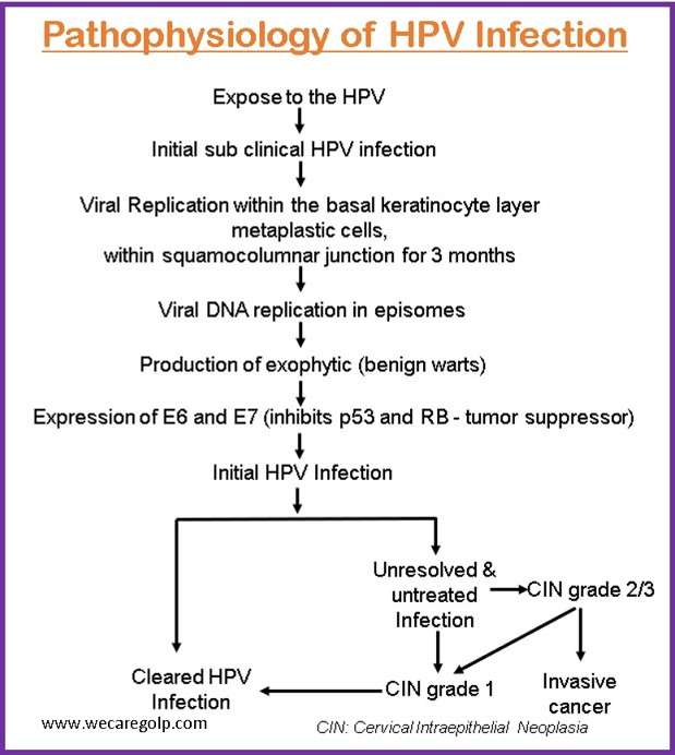 Pathophysiology of HPV Infection