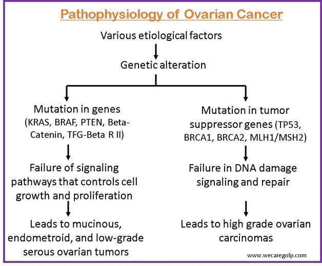 Pathophysiology of Ovarian Cancer