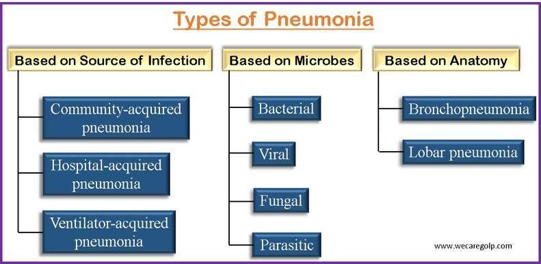 Types of Pneumonia
