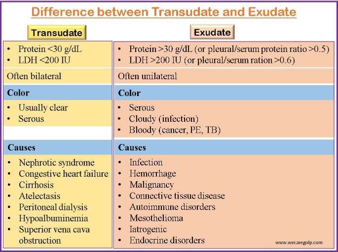 Difference between transudate and exudate