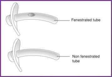 Fenestrated and Non-fenestrated Tube