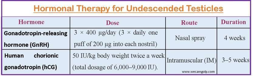 Hormonal Therapy for Undescended Testicles