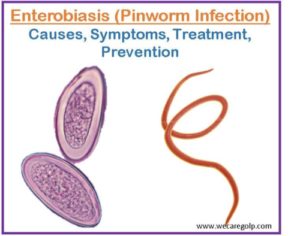 Enterobiasis (Pinworm Infection) - We Care