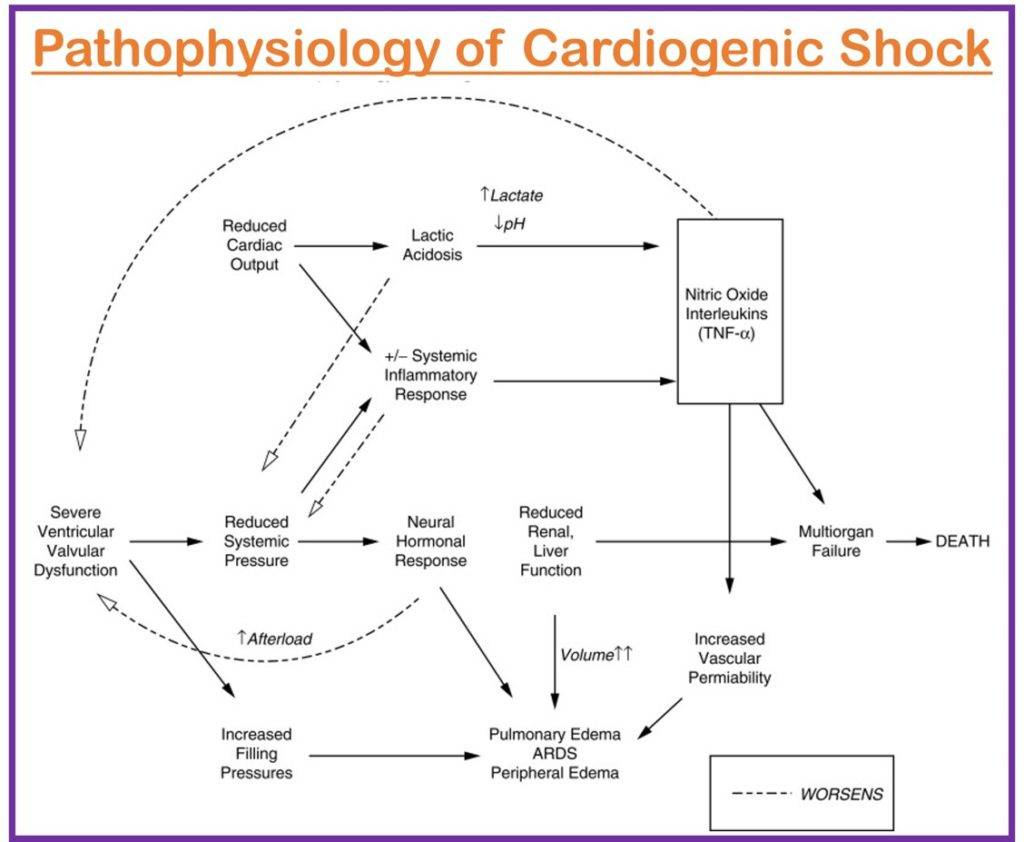 Pathophysiology of Cardiogenic Shock
